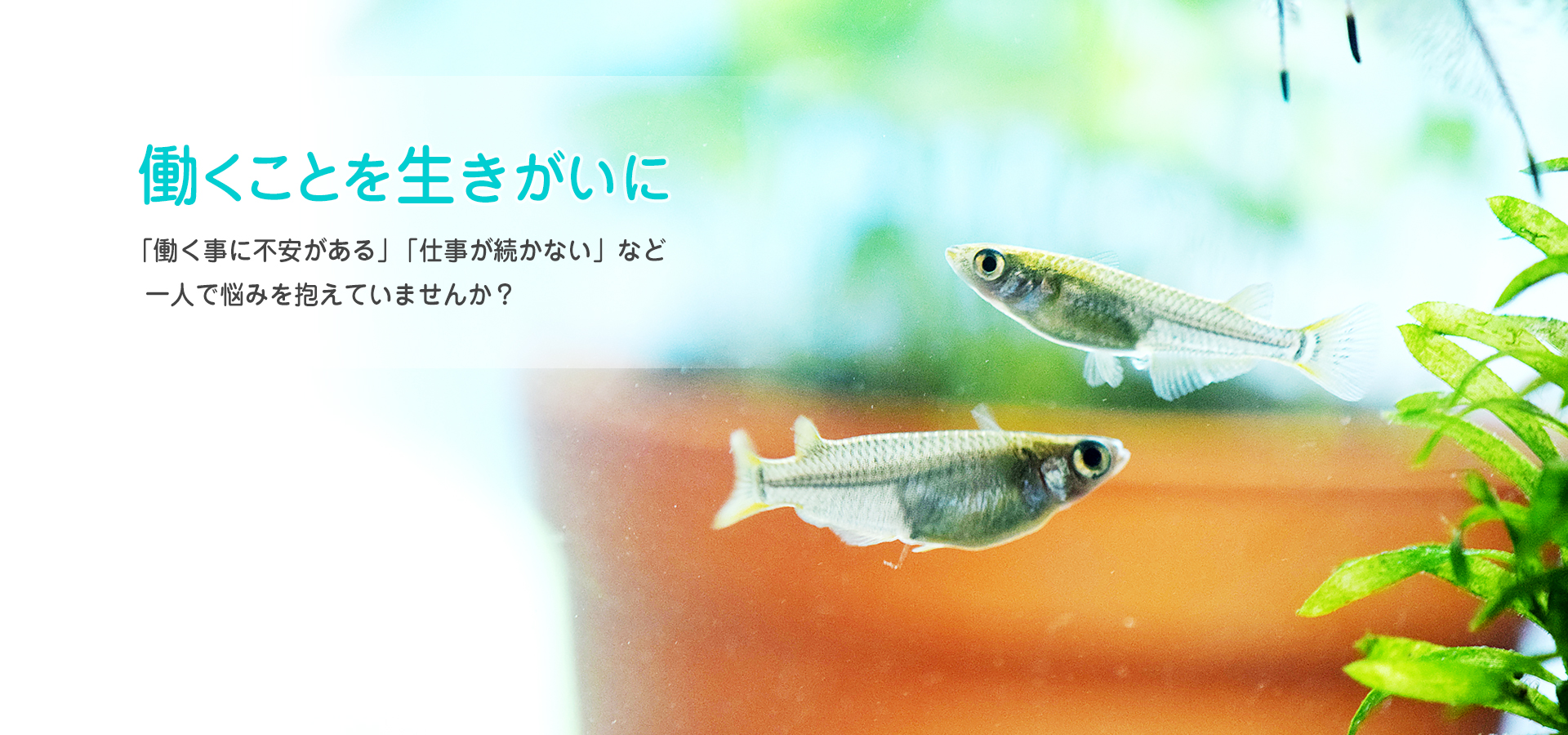 就労継続支援B型事業所